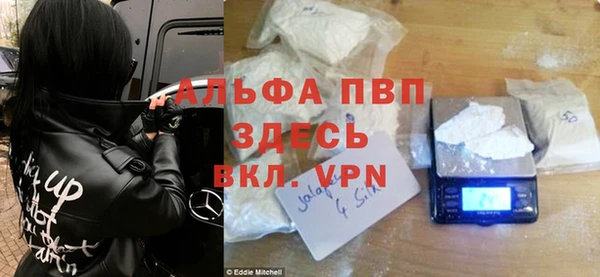 стаф Алексин