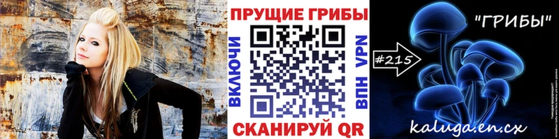 как найти закладки  Новошахтинск  мега рабочий сайт  Псилоцибиновые грибы мухоморы 